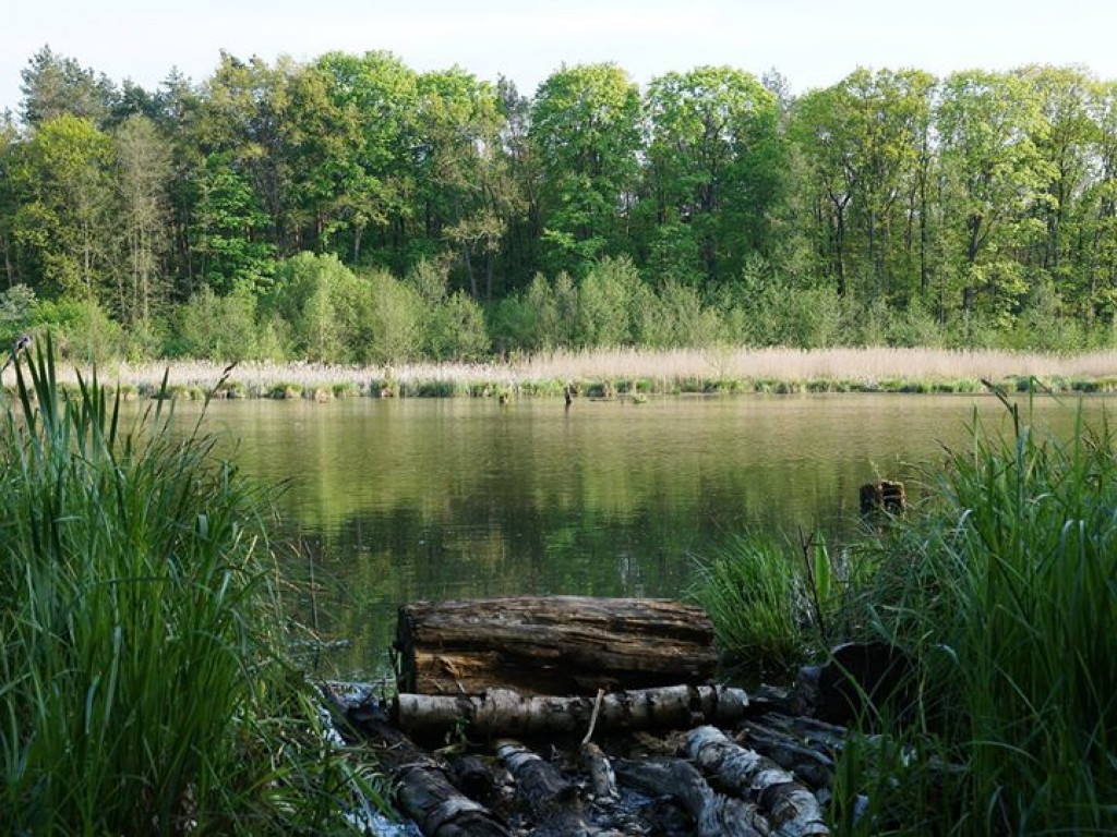 Ścieżka przyrodnicza Bobrówka - zdjęcia