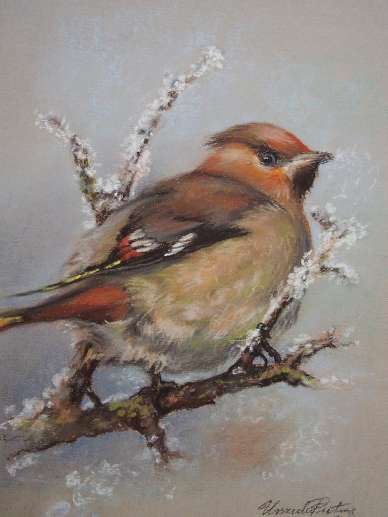 Wystawa prac Urszuli Pietras zorganizowana przez Parczewski Dom Kultury