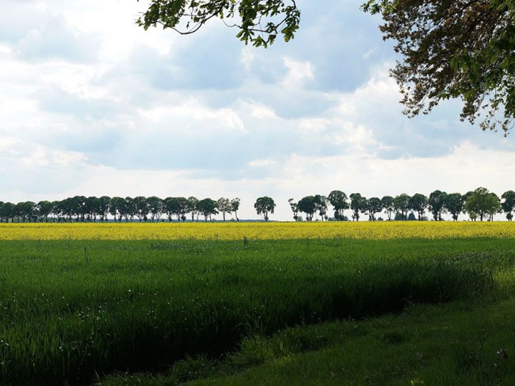 Suchowola - zdjęcia