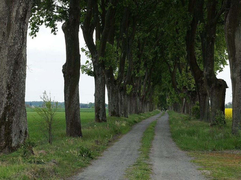 Suchowola - zdjęcia