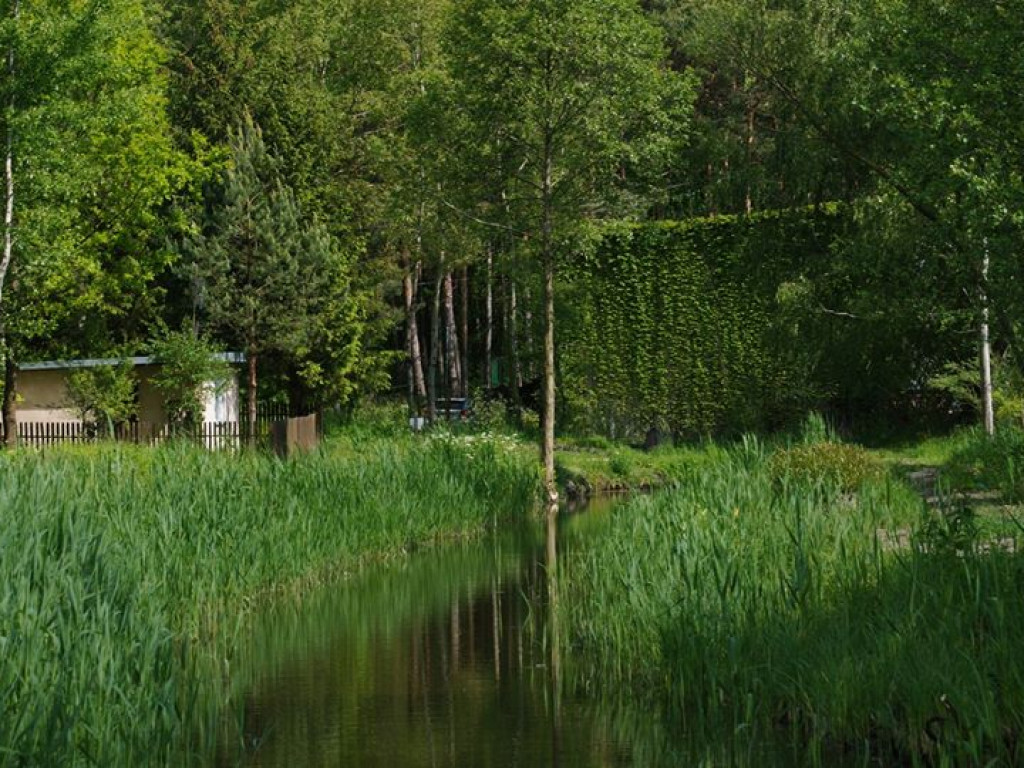 Białka koło Parczewa - zdjęcia