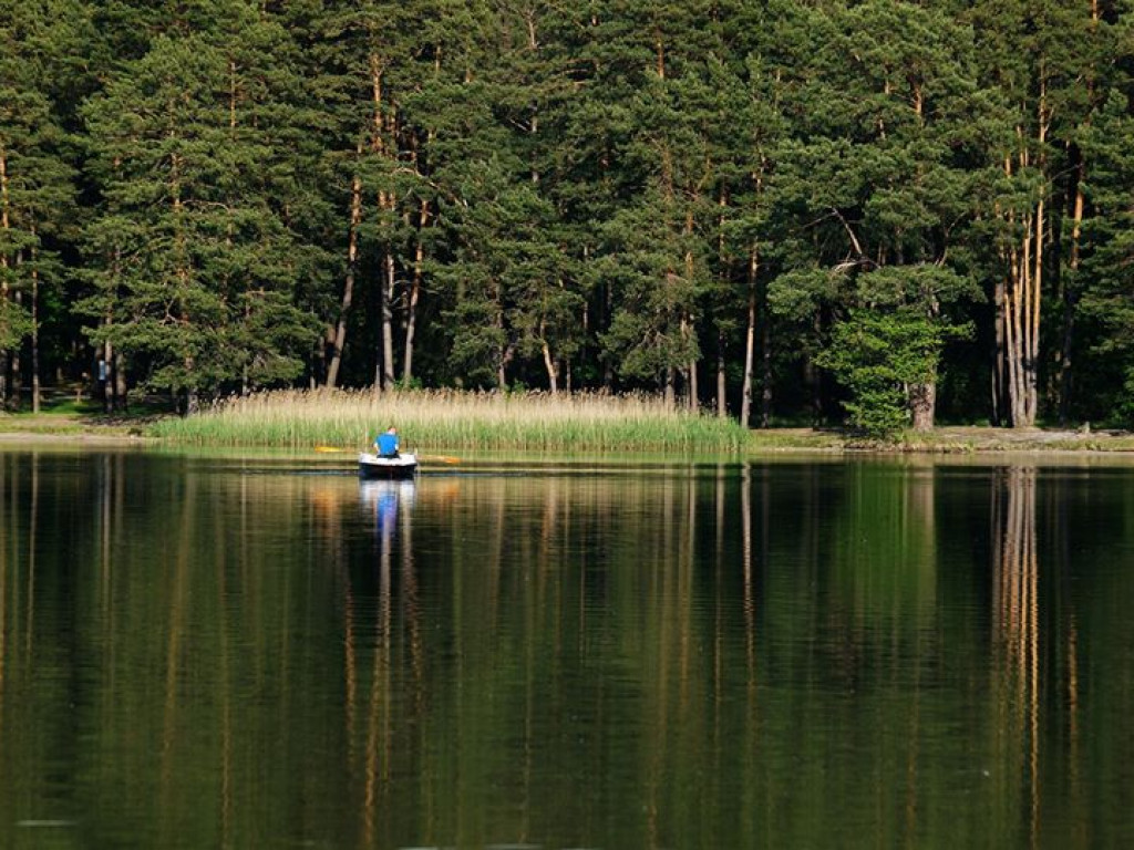 Białka koło Parczewa - zdjęcia