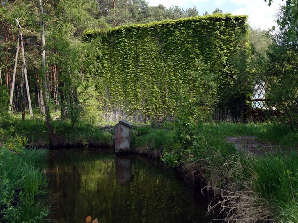 Białka koło Parczewa - zdjęcia