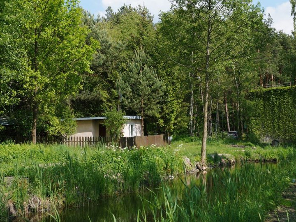 Białka koło Parczewa - zdjęcia