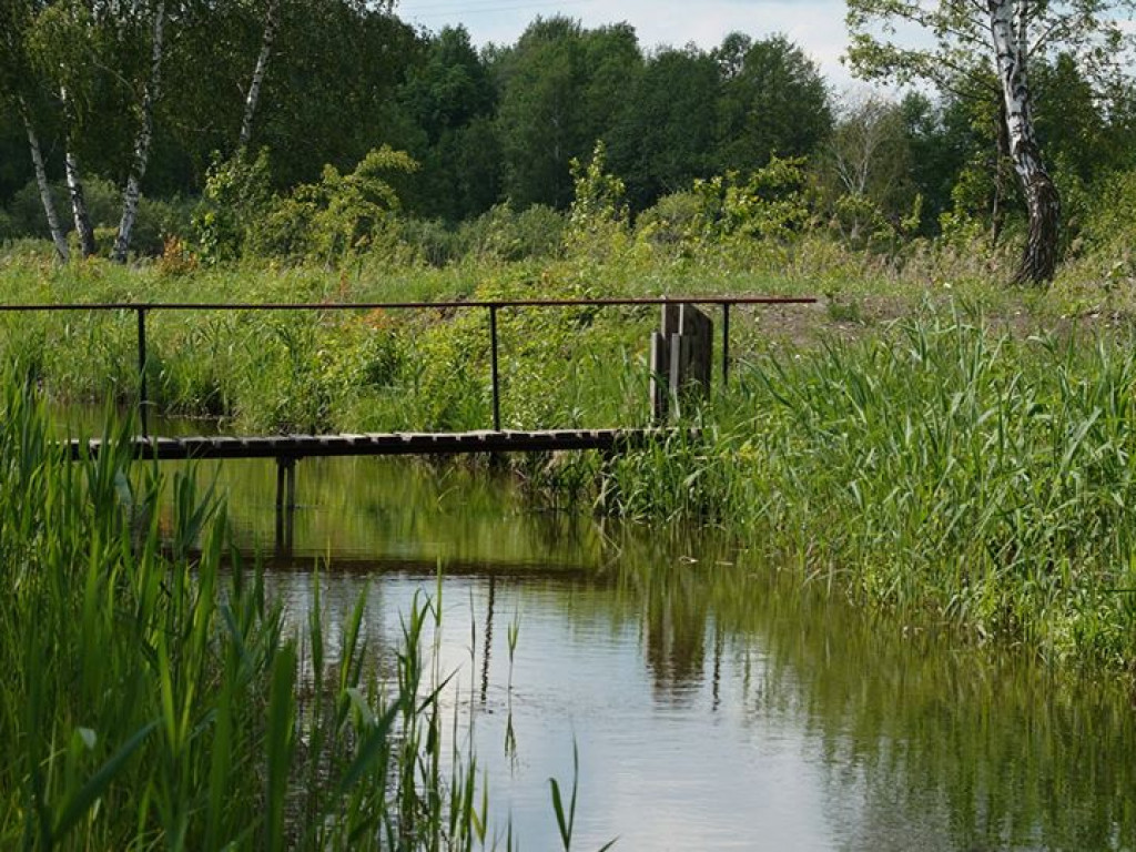 Białka koło Parczewa - zdjęcia