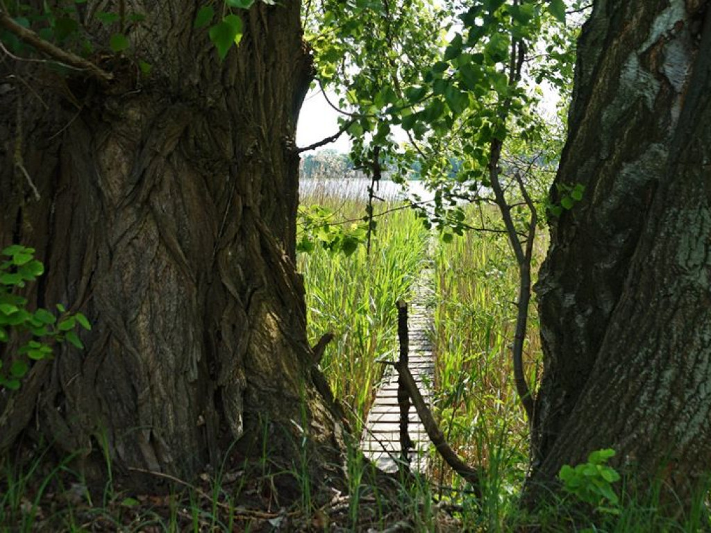 Białka koło Parczewa - zdjęcia
