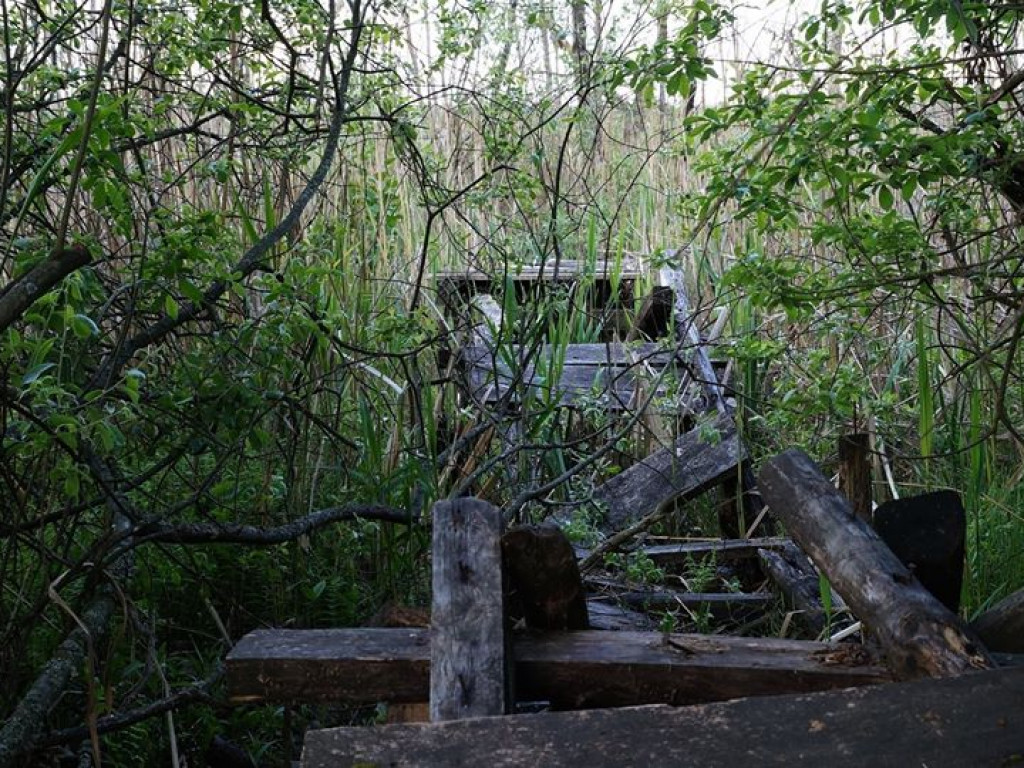 Białka koło Parczewa - zdjęcia