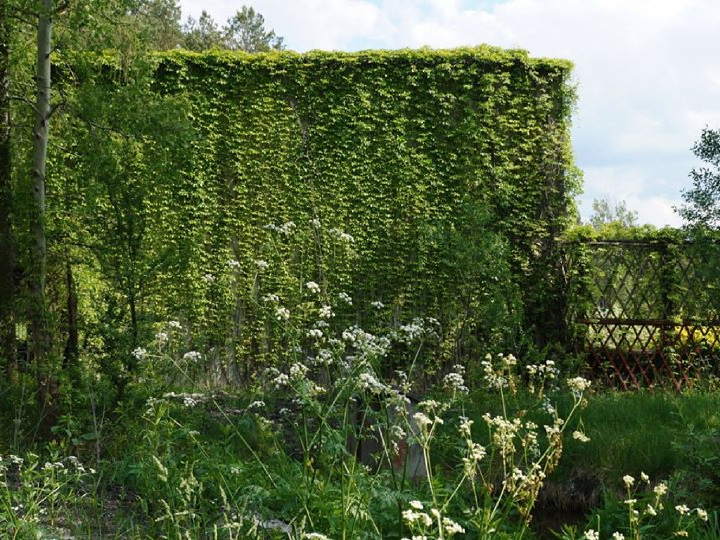 Białka koło Parczewa - zdjęcia