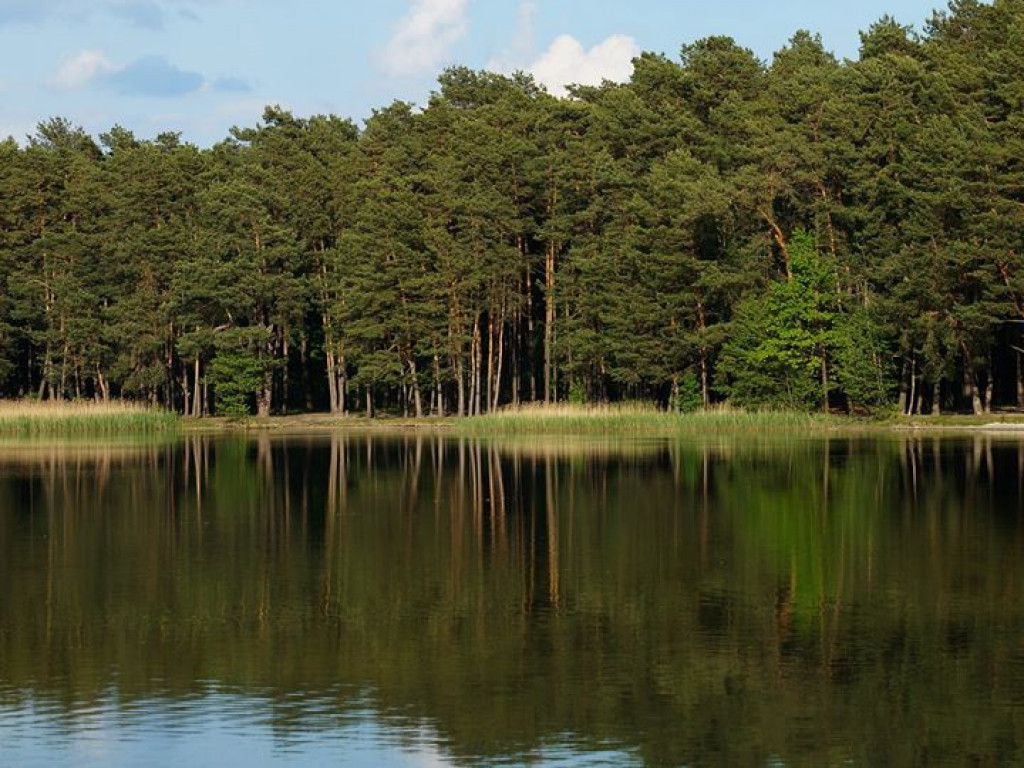 Białka koło Parczewa - zdjęcia