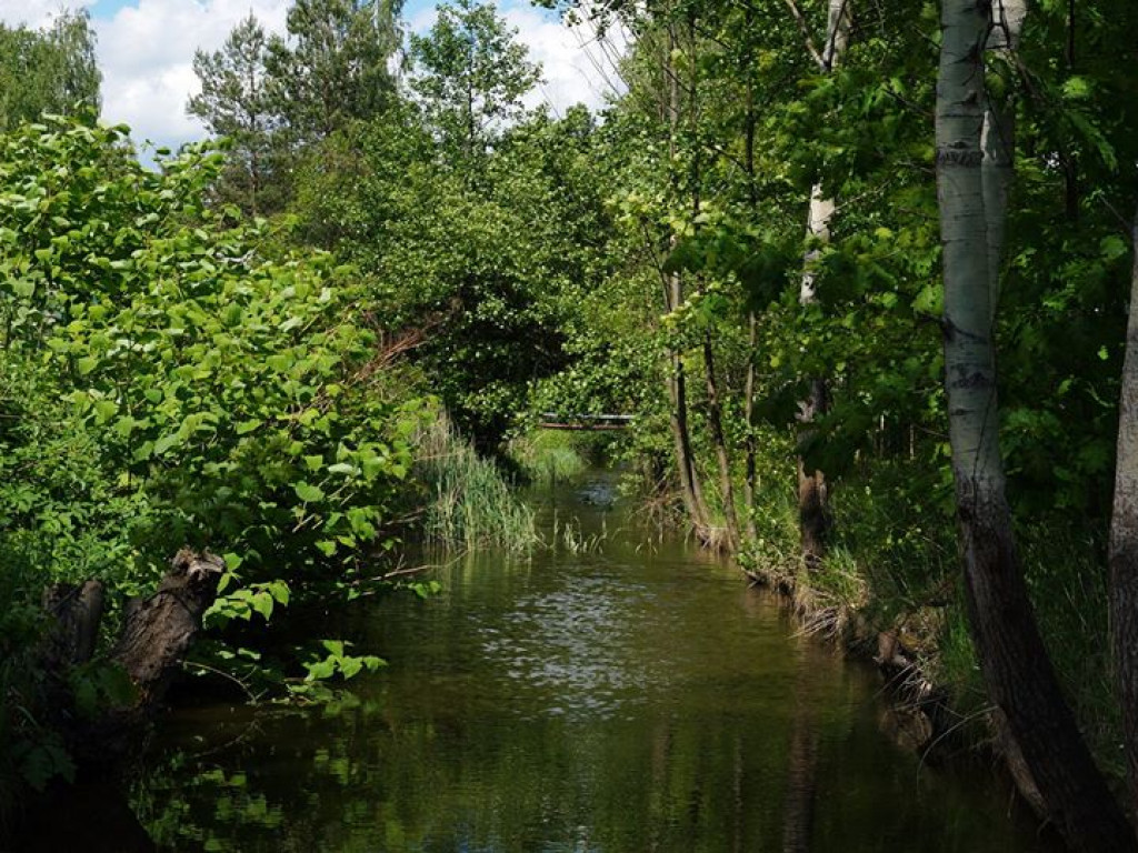 Białka koło Parczewa - zdjęcia