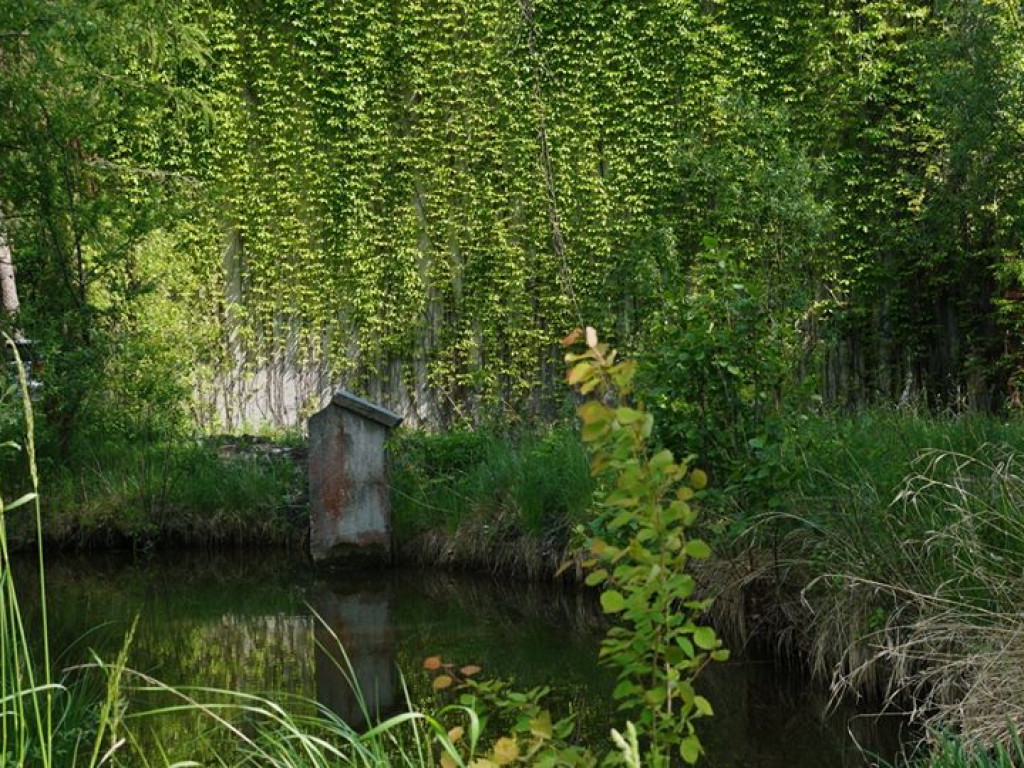 Białka koło Parczewa - zdjęcia