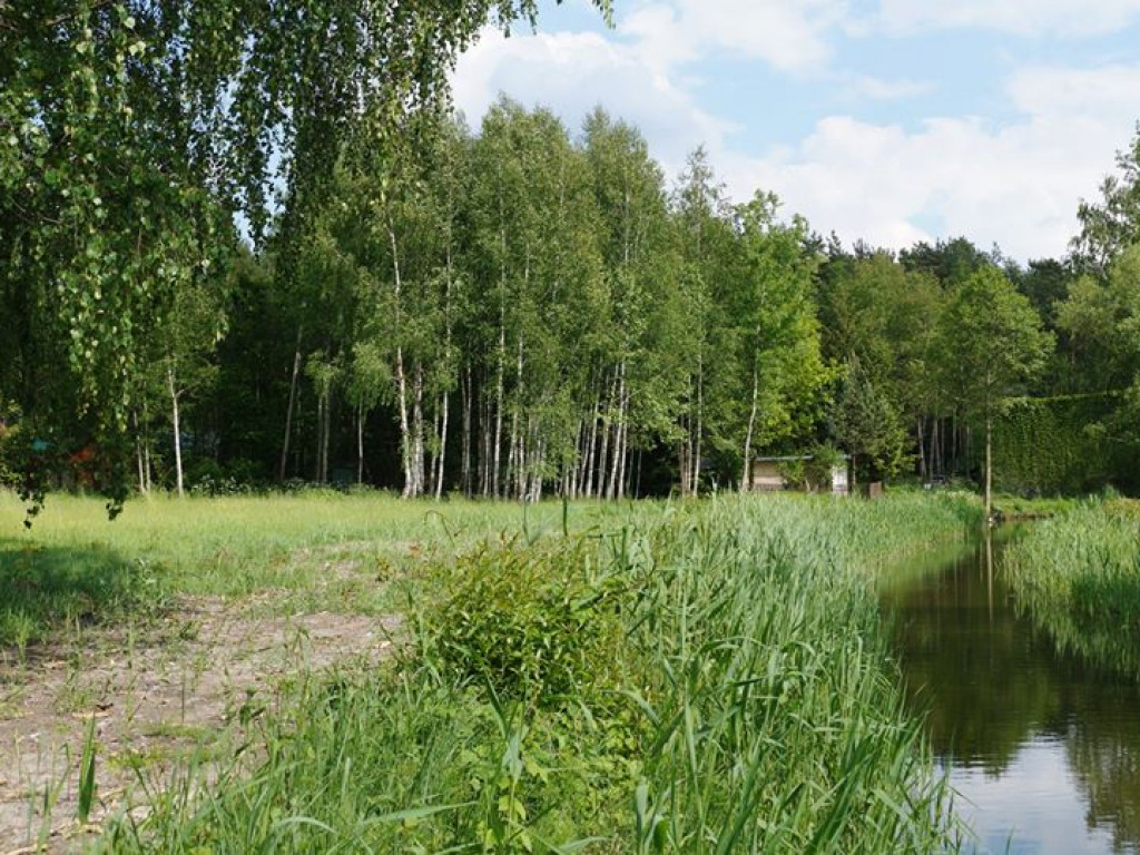 Białka koło Parczewa - zdjęcia