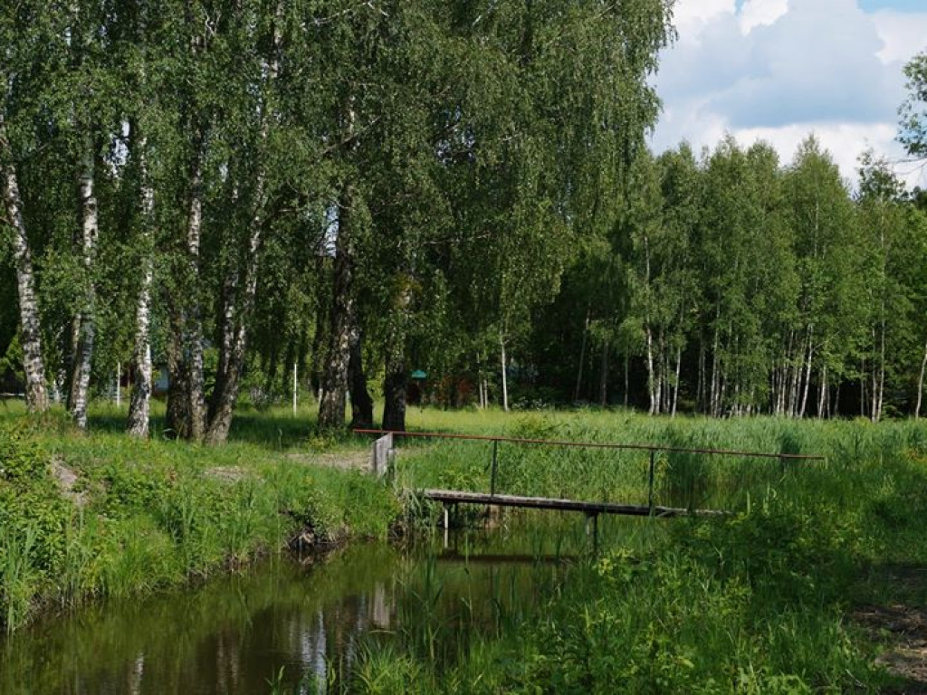 Białka koło Parczewa - zdjęcia