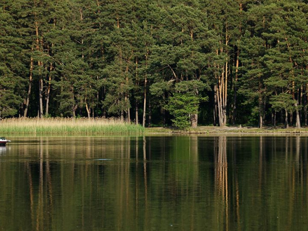 Białka koło Parczewa - zdjęcia
