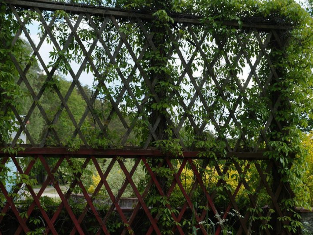 Białka koło Parczewa - zdjęcia