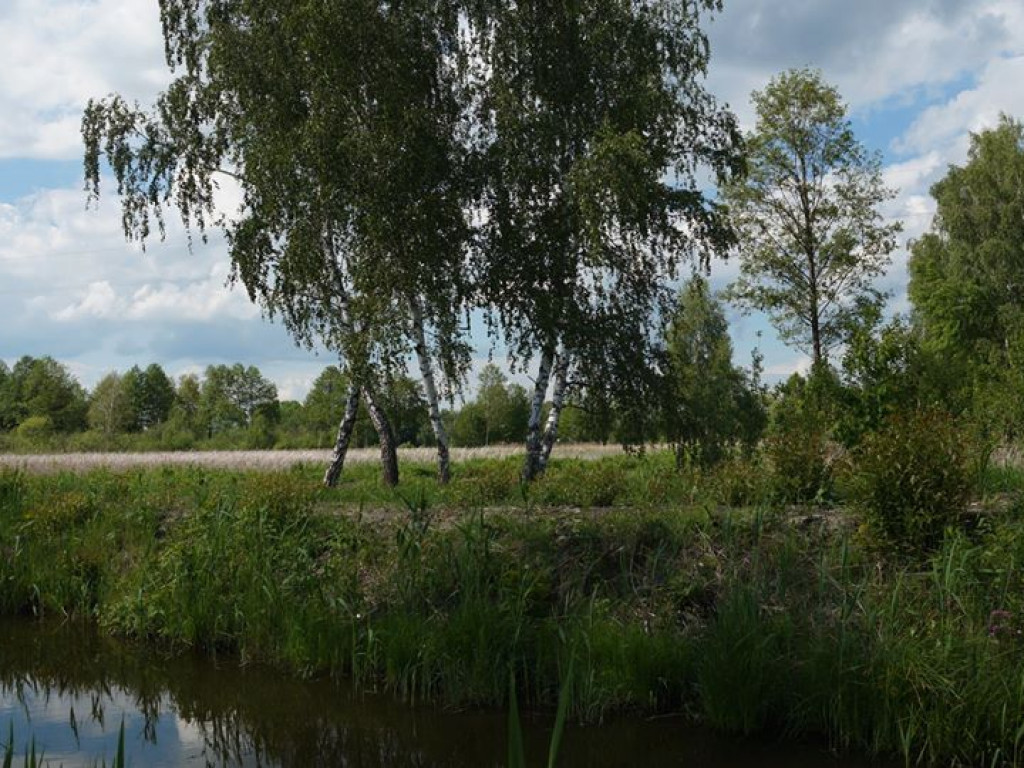 Białka koło Parczewa - zdjęcia