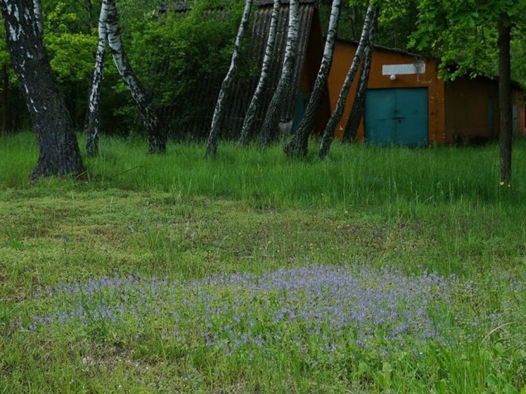 Białka koło Parczewa - zdjęcia