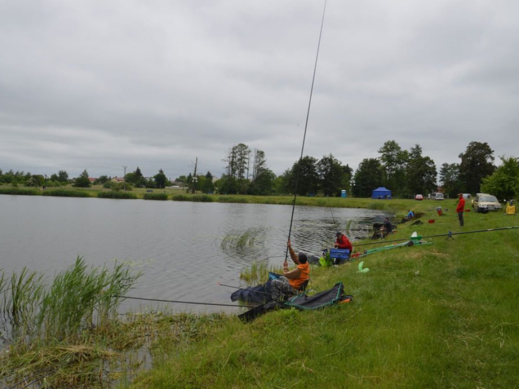 Zawody wędkarskie w Radzyniu