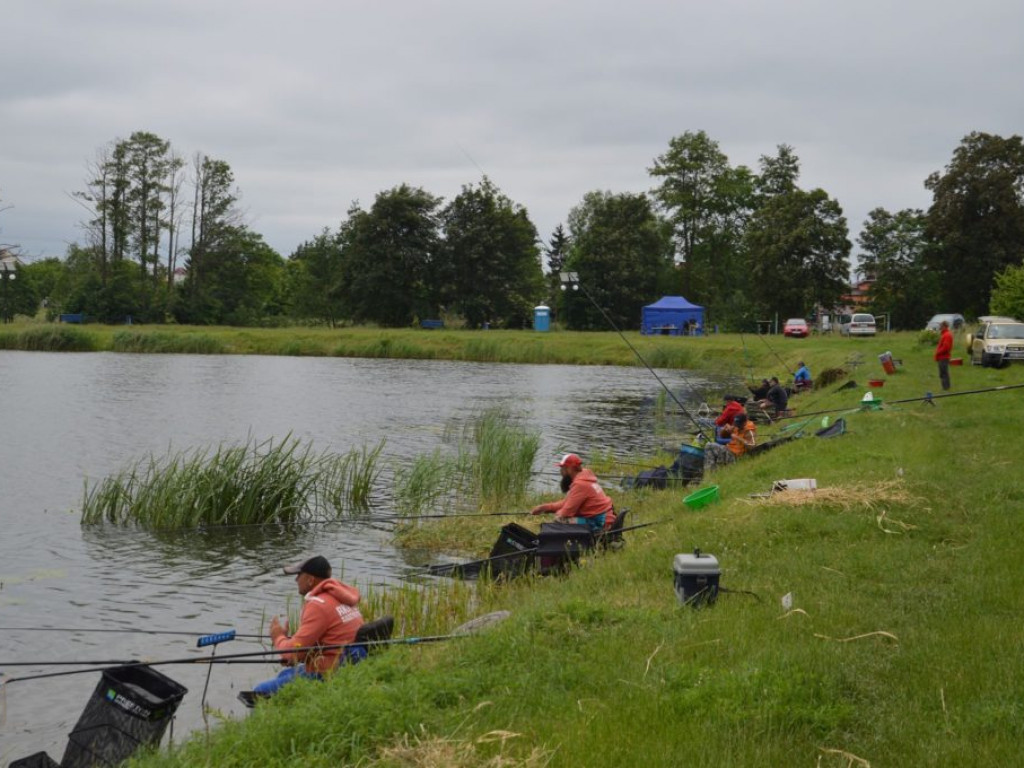 Zawody wędkarskie w Radzyniu