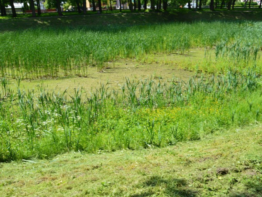 Stawy obecnie i przed rokiem