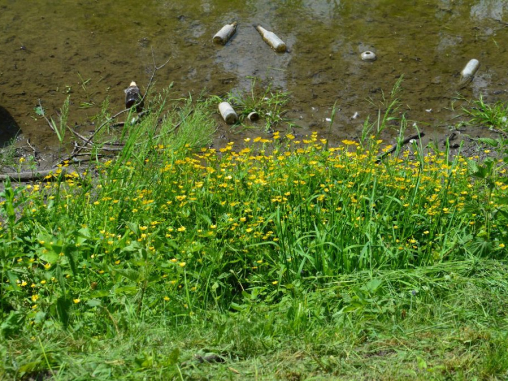 Stawy obecnie i przed rokiem