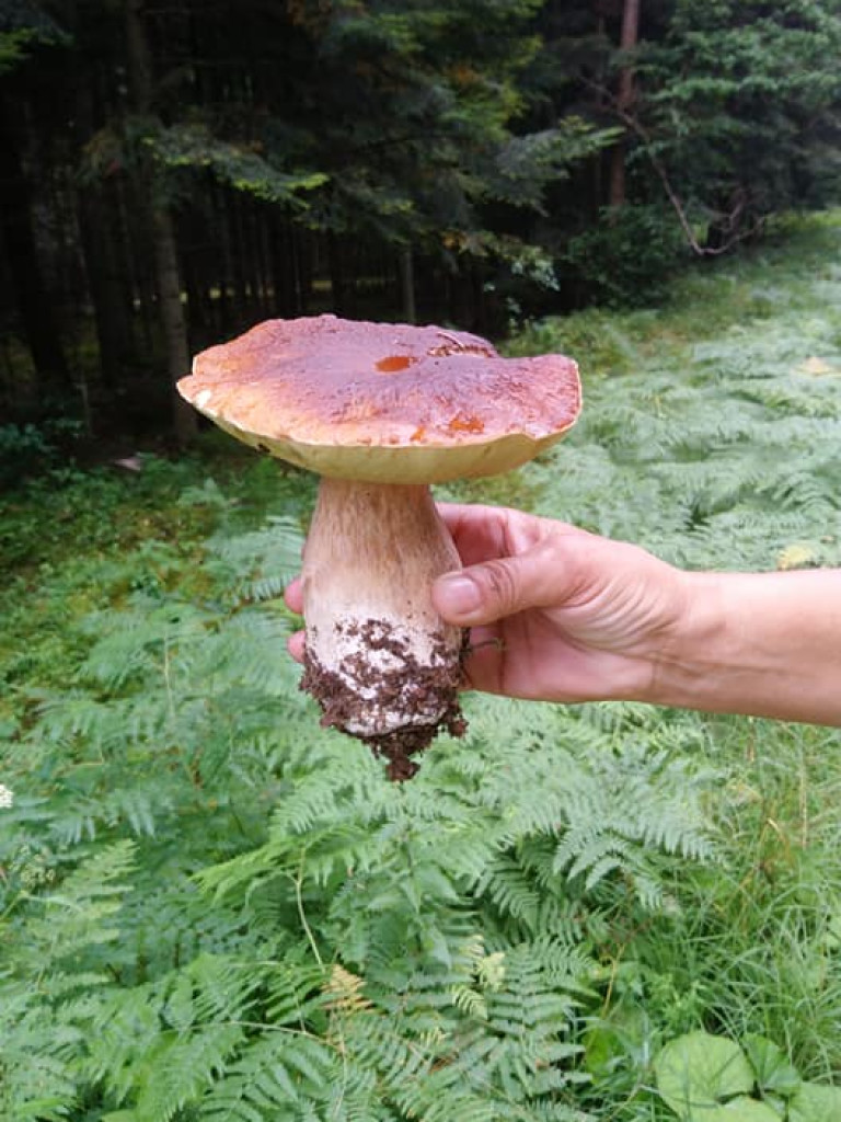 Rowerowa pielgrzymka na Jasną Górę - dzień czwarty