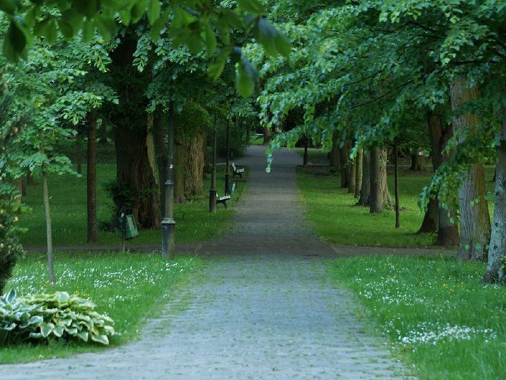 Nałęczów - zdjęcia