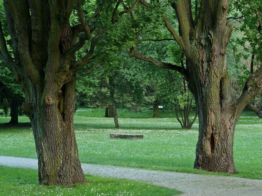 Nałęczów - zdjęcia