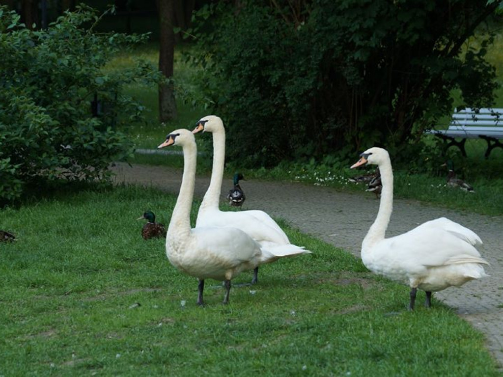 Nałęczów - zdjęcia