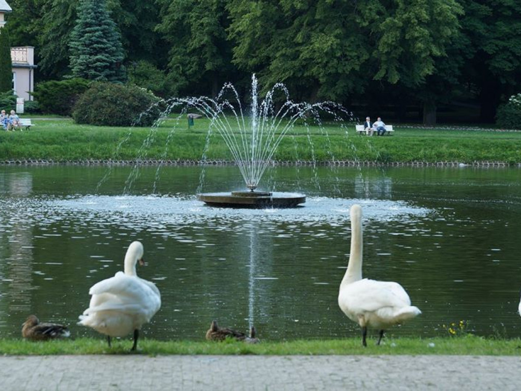 Nałęczów - zdjęcia