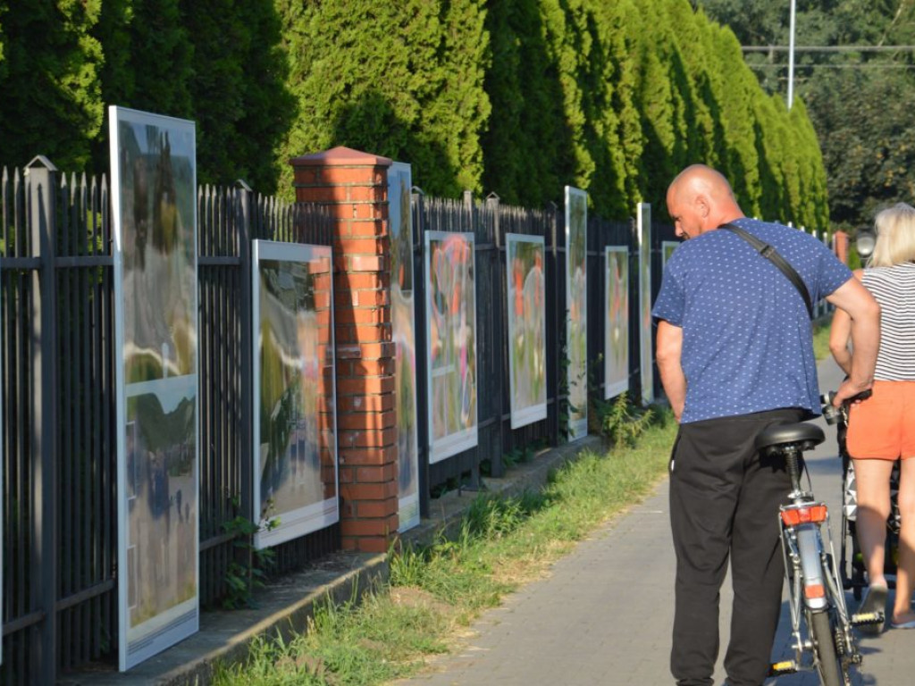Wystawa fotografii Elżbiety Dzikowskiej