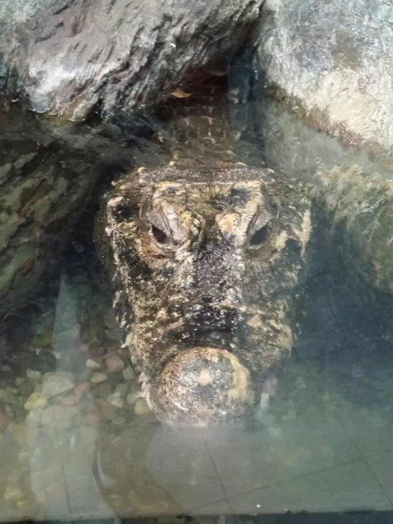 Wycieczka do Zamościa z gminy Radzyń