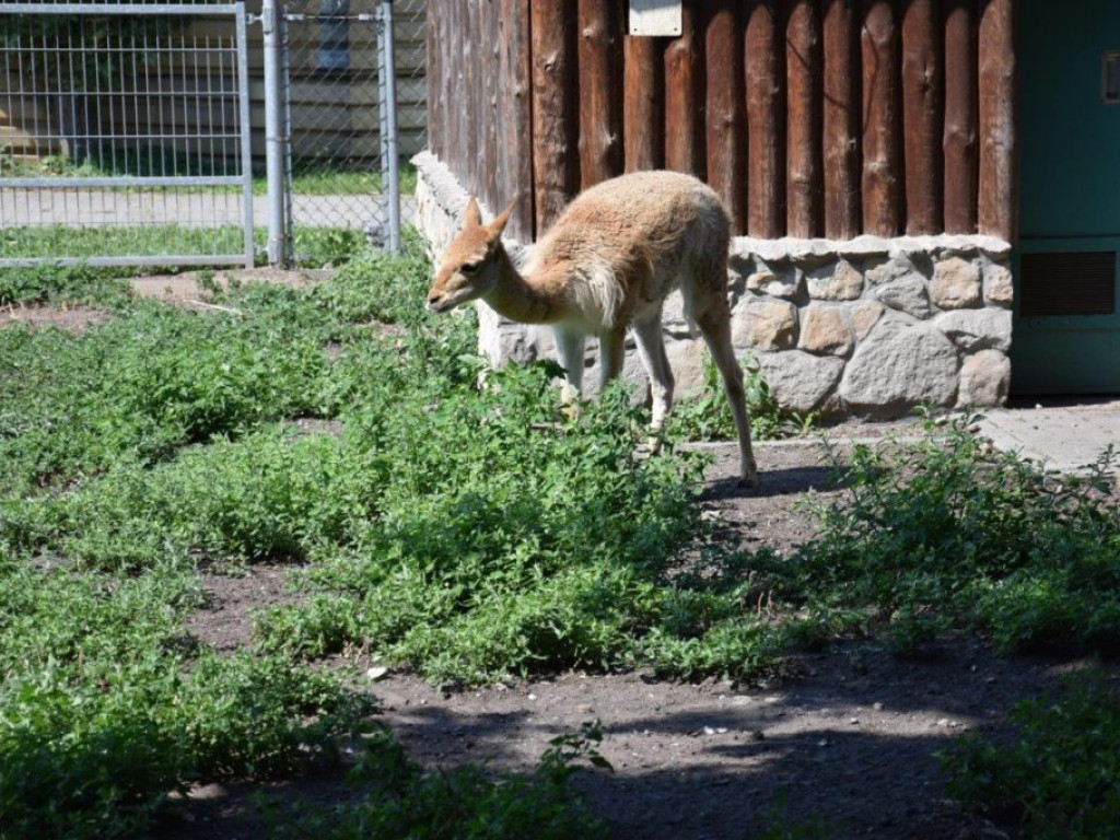 Wycieczka do Zamościa z gminy Radzyń
