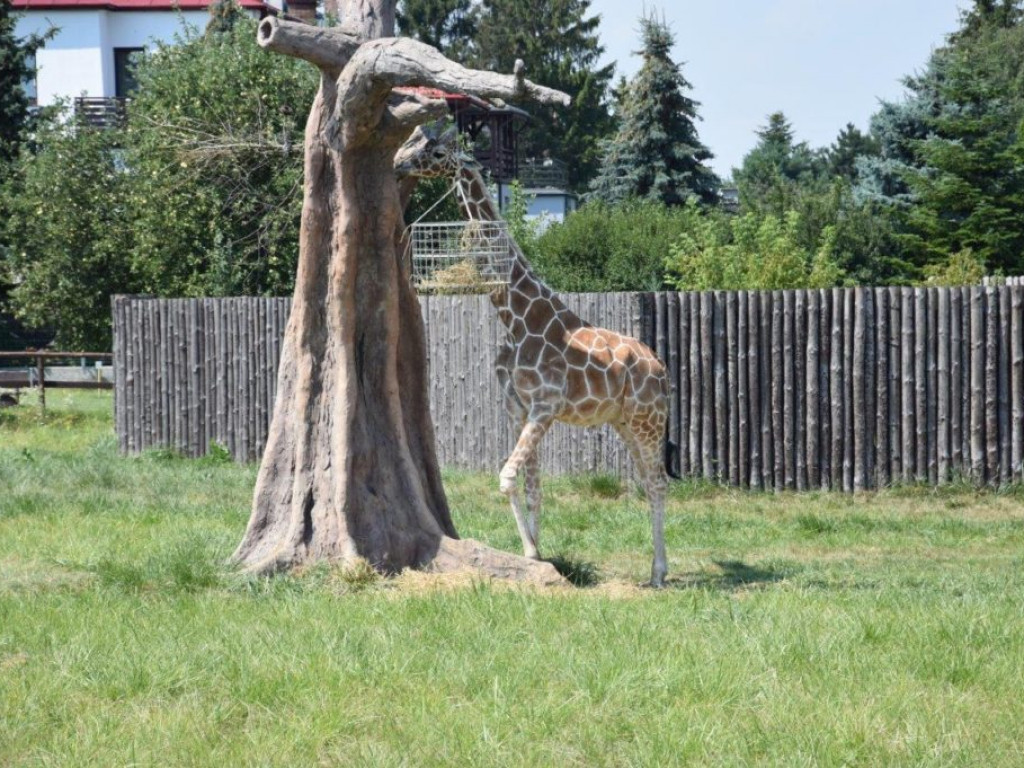 Wycieczka do Zamościa z gminy Radzyń
