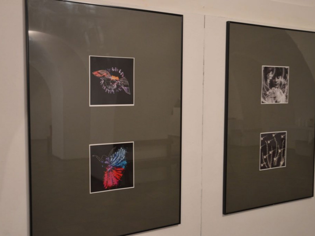 Wystawa fotografii i grafiki Weroniki Śmiecińskiej