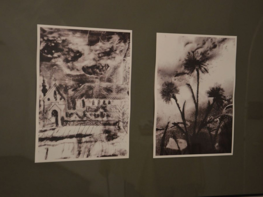 Wystawa fotografii i grafiki Weroniki Śmiecińskiej