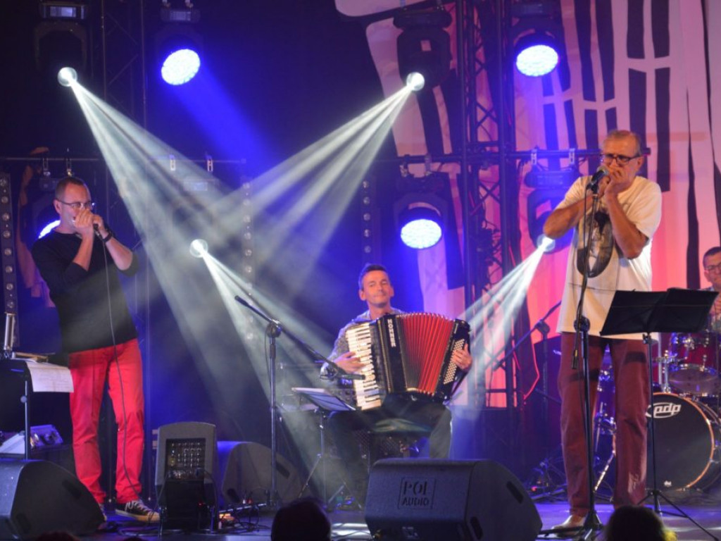 Koncert zespołu Wały Jagiellońskie