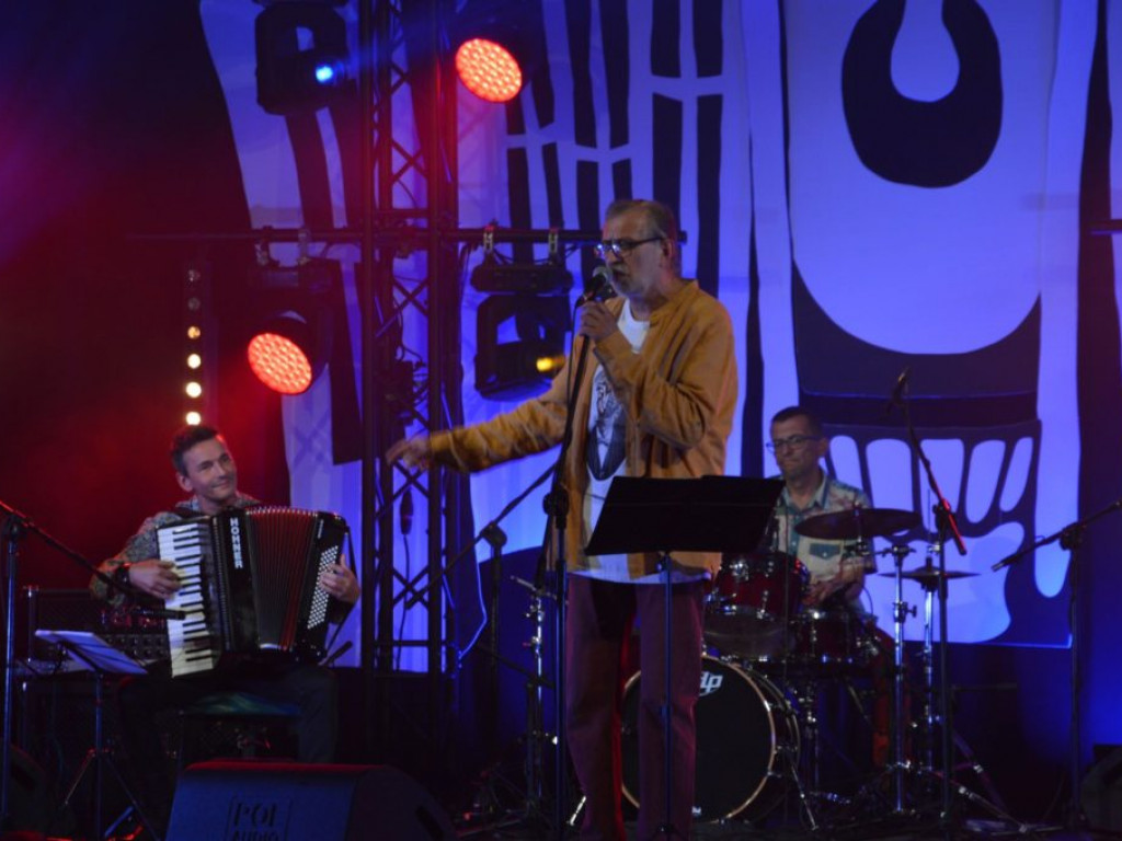 Koncert zespołu Wały Jagiellońskie