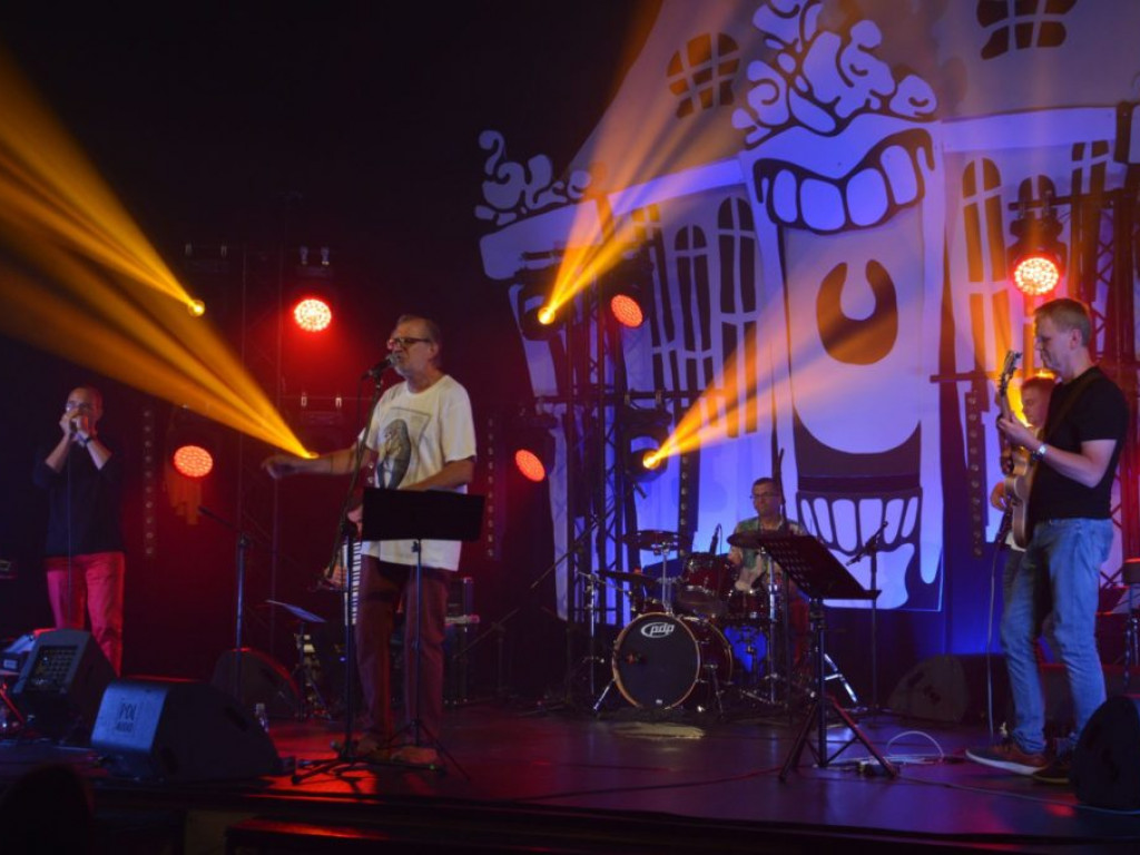 Koncert zespołu Wały Jagiellońskie