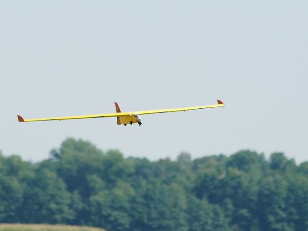 VII Piknik Modelarski w Radzyniu - zdjęcia