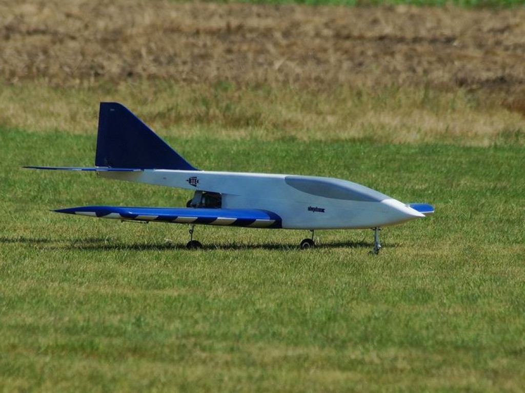 VII Piknik Modelarski w Radzyniu - zdjęcia