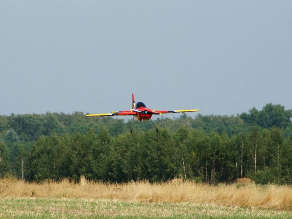 VII Piknik Modelarski w Radzyniu - zdjęcia