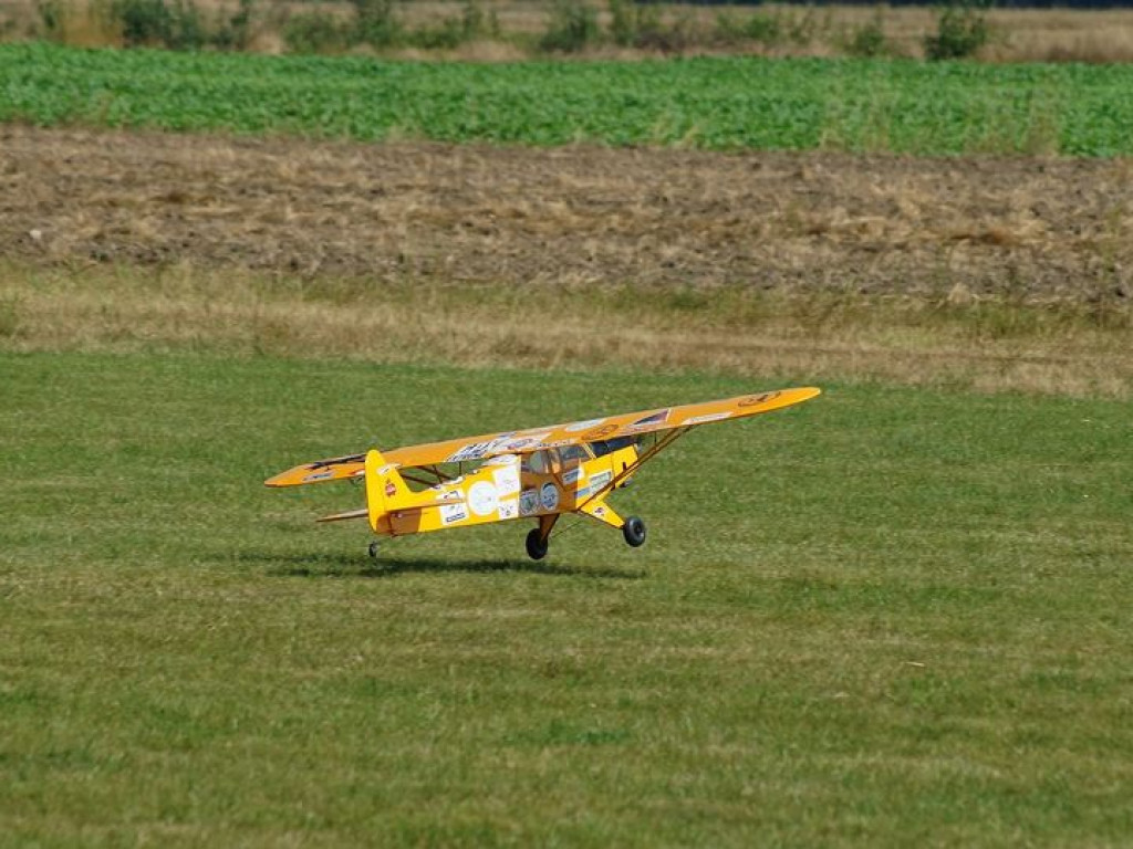 VII Piknik Modelarski w Radzyniu - zdjęcia