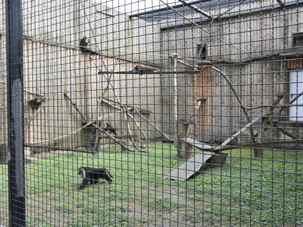 Wycieczka z Kąkolewnicy śladami 