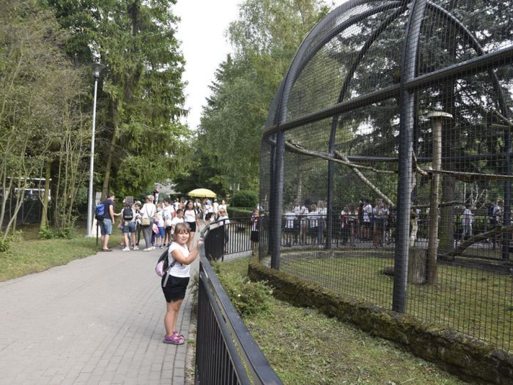 Wycieczka z Kąkolewnicy śladami 