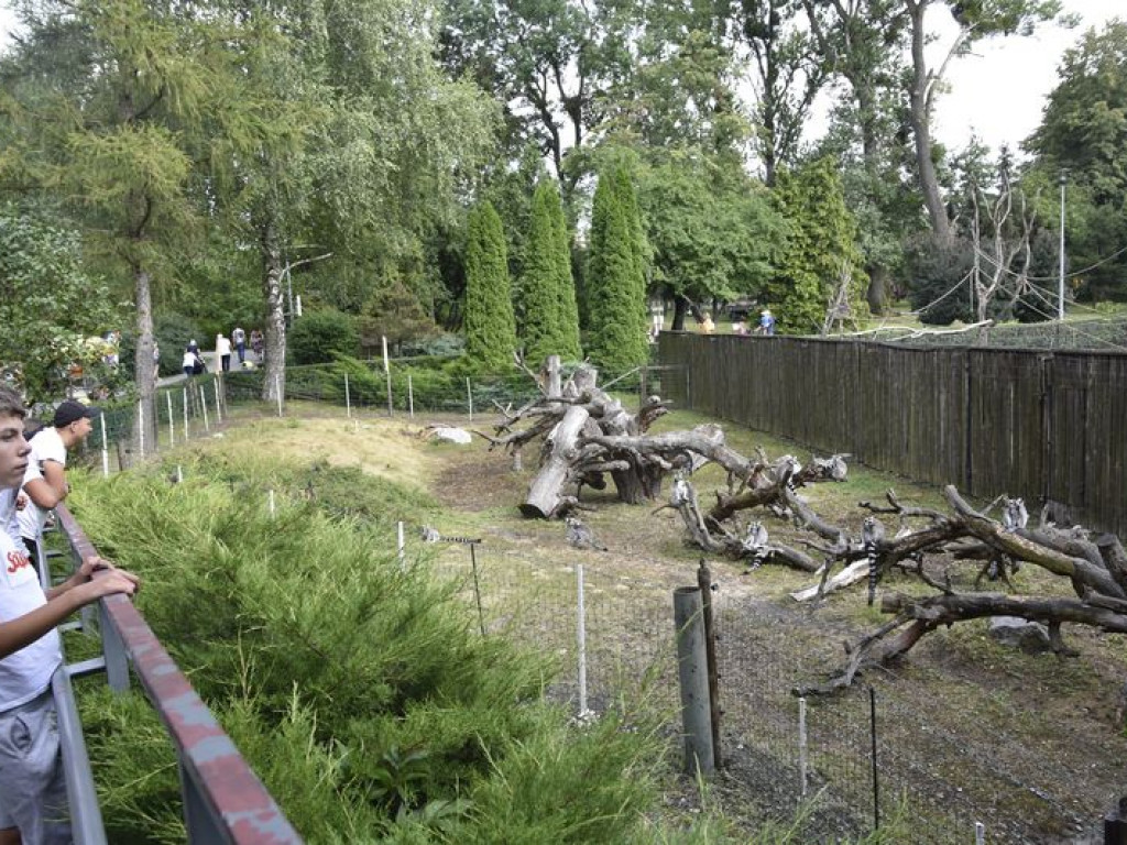 Wycieczka z Kąkolewnicy śladami 