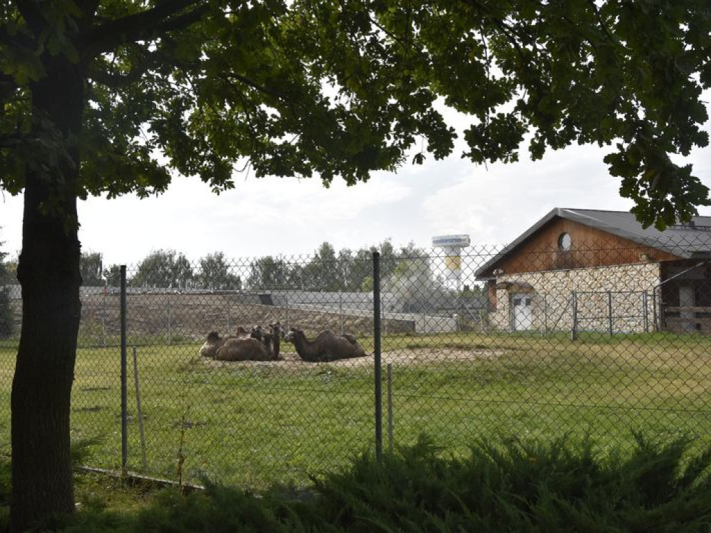 Wycieczka z Kąkolewnicy śladami 