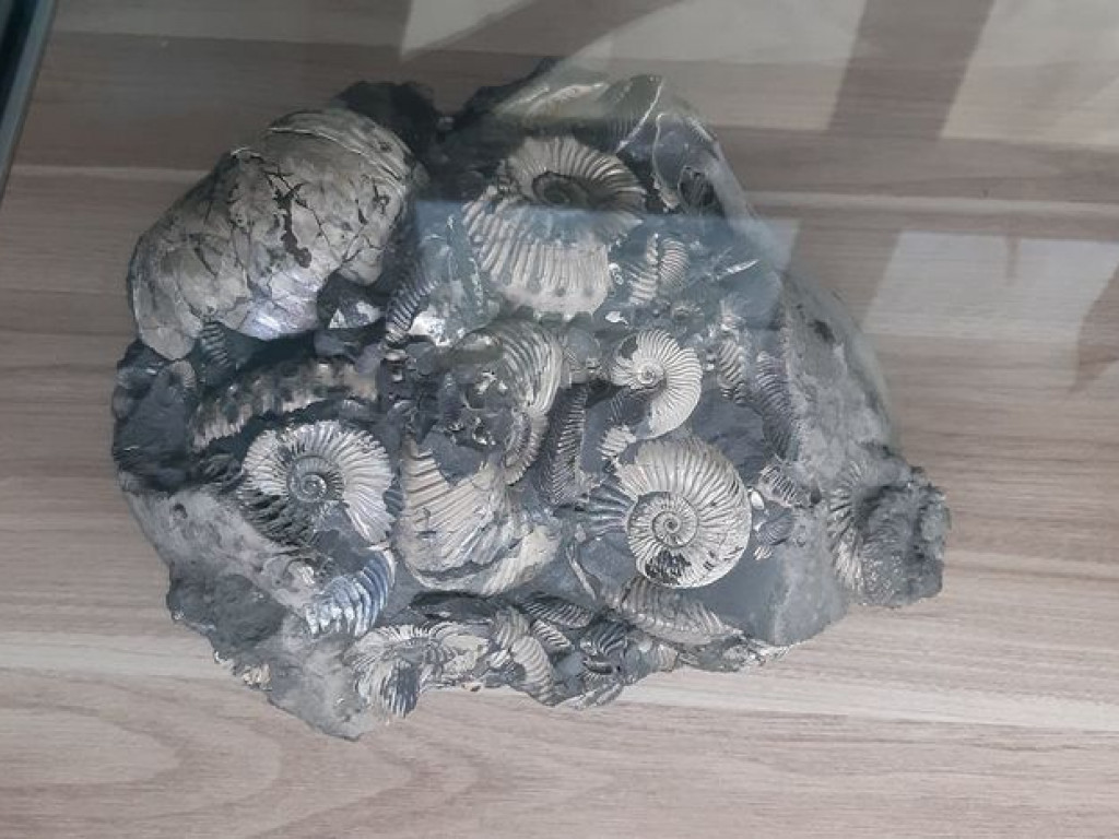 Sierpniowe wycieczki Radzyńskiej Grupy Rowerowej