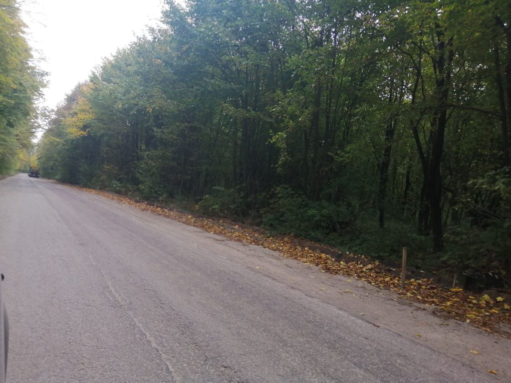 Przebudowa drogi z Radzynia do Wohynia