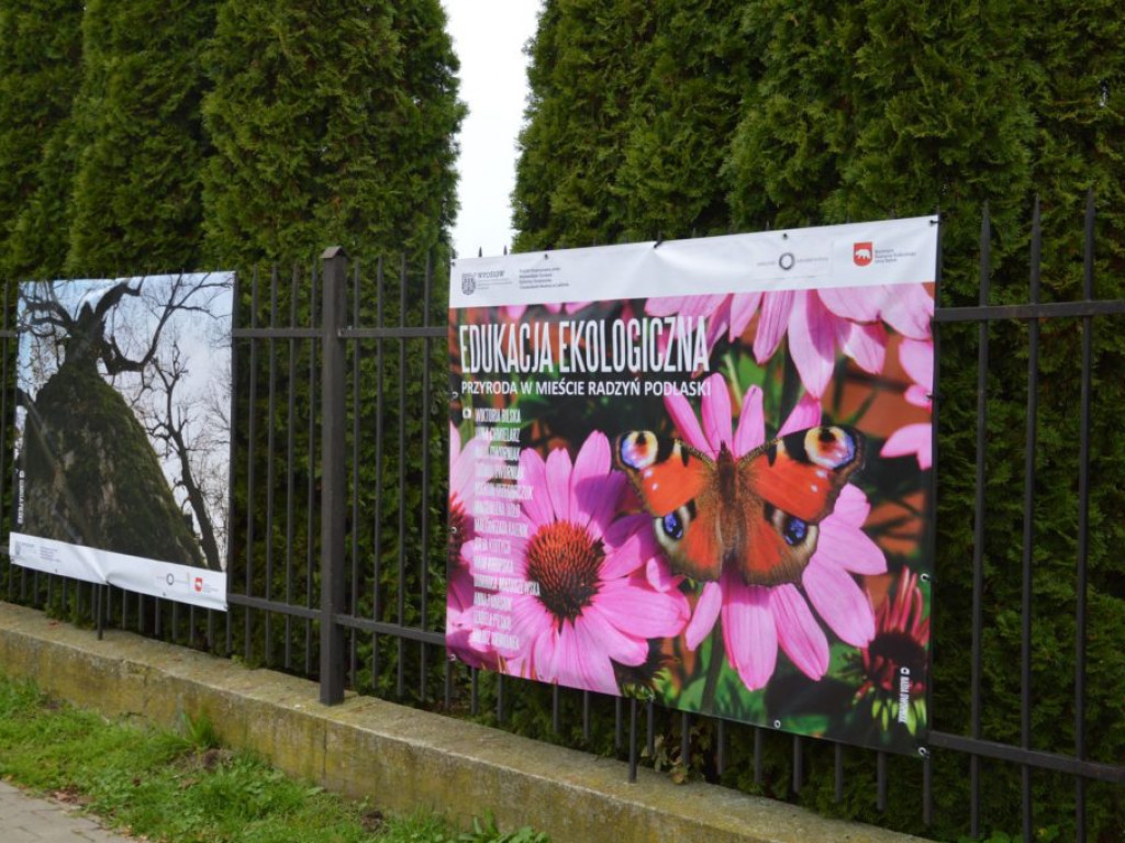 Wystawa zdjęć przyrody w 